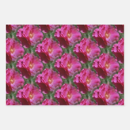 Natuur roze roze bloem inpakpapier vel (Voorkant 3)
