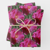 Natuur roze roze bloem inpakpapier vel (In situ)