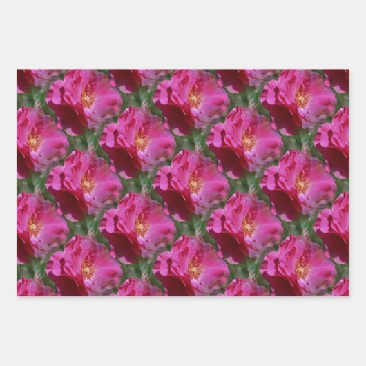 Natuur roze roze bloem inpakpapier vel (Voorkant)
