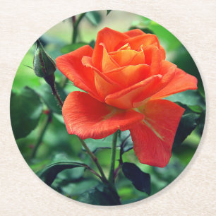 Natuur Roze Rozenbloem-46458 Ronde Kartonnen Onderzetter