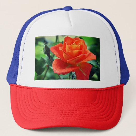 Natuur Roze Rozenbloem-46458 Trucker Pet (Voorkant)