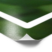 Natuur roze rozenbloem foto afdruk (Hoek)