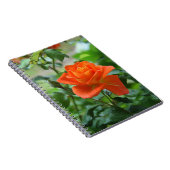 Natuur roze rozenbloem notitieboek (Rechterzijde)