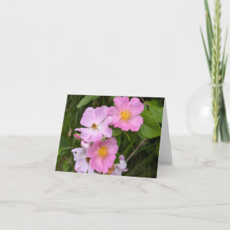 Natuur’s Touch – Lege begroeting en bedankkaart Kaart