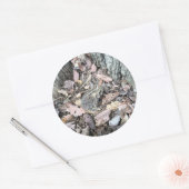 Natuur Scavenger Hunt Sticker: Toad Animal ID Ronde Sticker (Envelop)