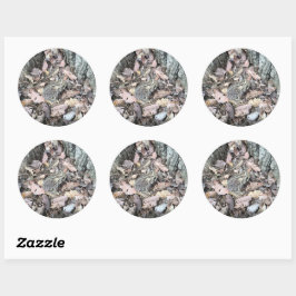 Natuur Scavenger Hunt Sticker: Toad Animal ID Ronde Sticker