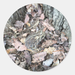 Natuur Scavenger Hunt Sticker: Toad Animal ID Ronde Sticker