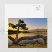 Natuur Scene Briefkaart (Voorkant / Achterkant)