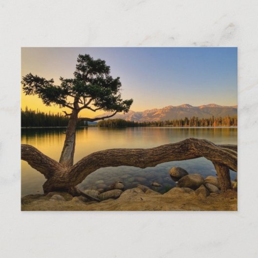 Natuur Scene Briefkaart (Voorkant)