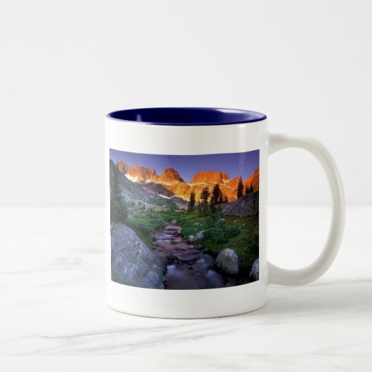 Natuur Scene I Tweekleurige Koffiemok (Rechts)