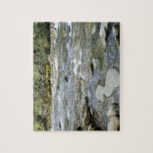Natuur Scene Mountain Stream Legpuzzel (Verticaal)