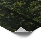 Natuur scènes afdrukken poster (Hoek)