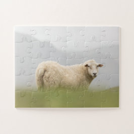 Natuur schapen Foto Legpuzzel