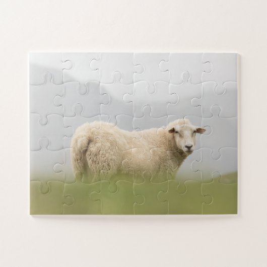 Natuur schapen Foto Legpuzzel (Horizontaal)