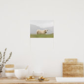 Natuur schapen Foto Poster (Keuken)