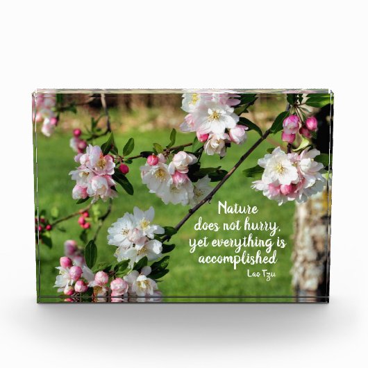 Natuur schiet niet Inspirerend Citaat op Fotoblokken (Voorkant)