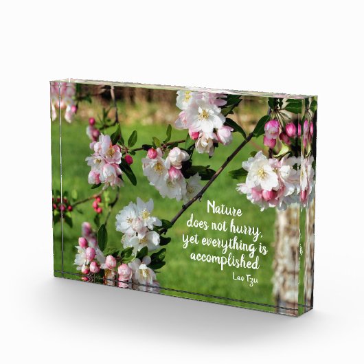 Natuur schiet niet Inspirerend Citaat op Fotoblokken (Rechts)