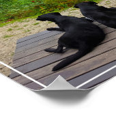 Natuur schiet niet op - levenslange Inspirerend pr Poster (Hoek)