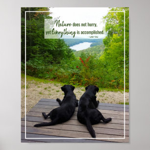 Natuur schiet niet op - levenslange Inspirerend pr Poster