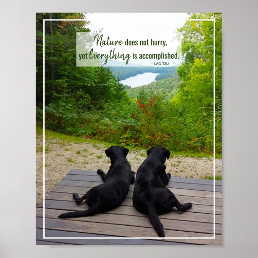 Natuur schiet niet op - levenslange Inspirerend pr Poster (Voorkant)