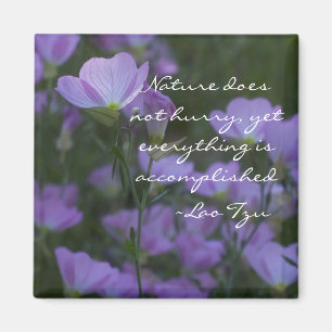 natuur schiet niet op magneet