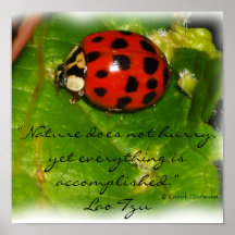 Natuur schiet niet op Poster