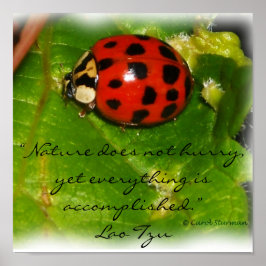 Natuur schiet niet op Poster