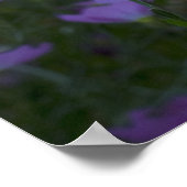 "Natuur schiet niet op" Poster (Hoek)