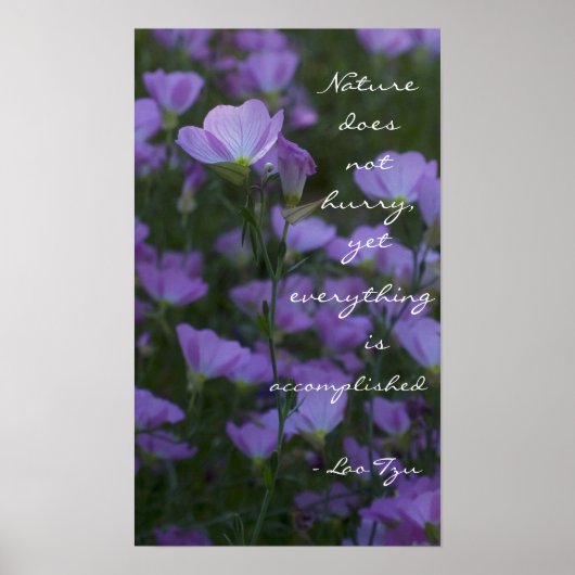 "Natuur schiet niet op" Poster (Voorkant)