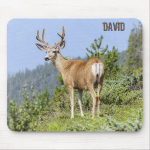Natuur Schitterende Eland Muismat