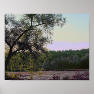 Natuur Serene Marsh and Tree Photo Effect Poster