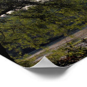 Natuur Serene Marsh en Boom Poster (Hoek)