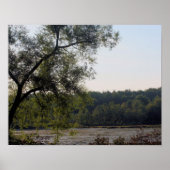 Natuur Serene Marsh en Boom Poster (Voorkant)