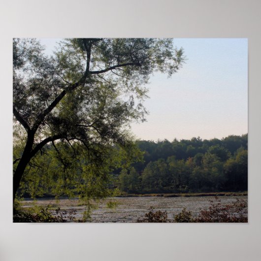 Natuur Serene Marsh en Boom Poster (Voorkant)