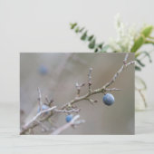 Natuur Sloe Berries - fotokaart (Staand voorkant)