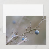 Natuur Sloe Berries - fotokaart (Voorkant / Achterkant)