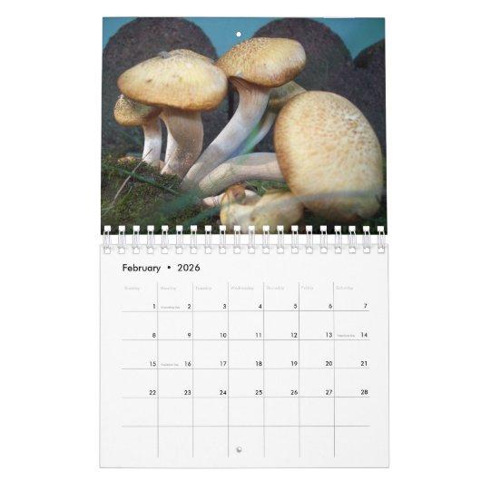 Natuur sluiten kalender (Feb 2026)