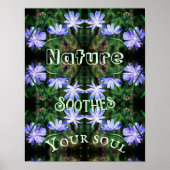 Natuur Soothes Wild Chicory Inspirerend Poster (Voorkant)