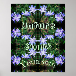Natuur Soothes Wild Chicory Inspirerend Poster