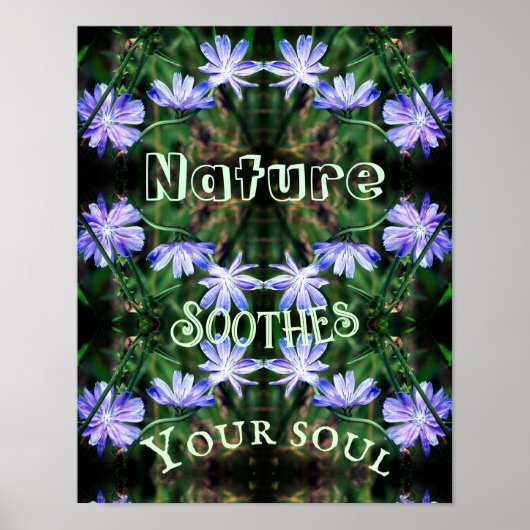 Natuur Soothes Wild Chicory Inspirerend Poster (Voorkant)
