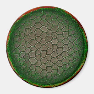 Natuur Sphere Magneet