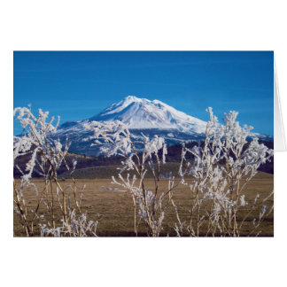 Natuur spreekt boekHoesje Afbeelding