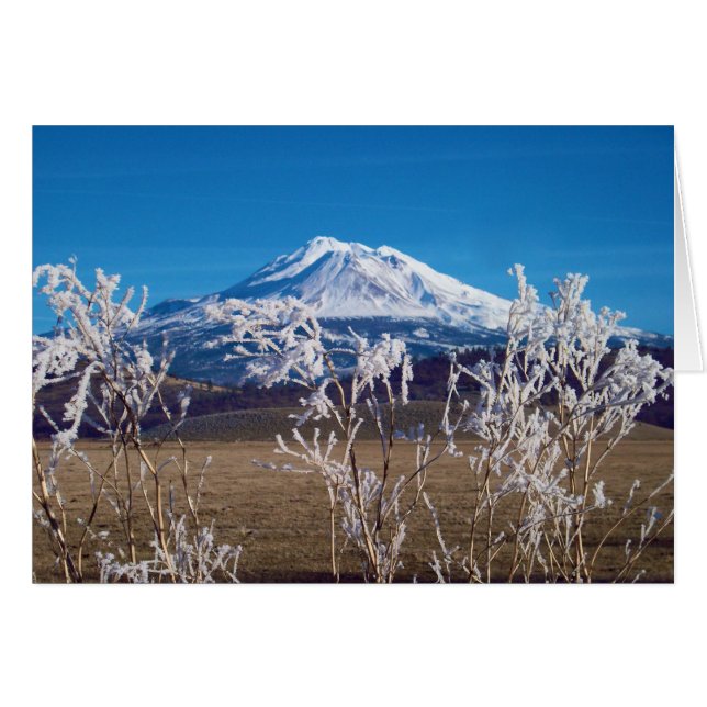 Natuur spreekt boekHoesje Afbeelding (Voorkant Horizontaal)