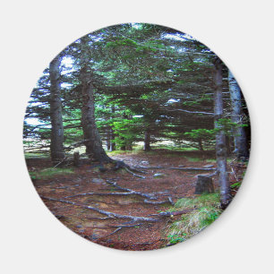 Natuur Stairway Magnet