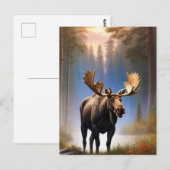 *~* Natuur STREAM AP49 MOOSE Forest Briefkaart (Voorkant / Achterkant)