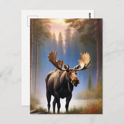 *~* Natuur STREAM AP49 MOOSE Forest Briefkaart (Voorkant / Achterkant)