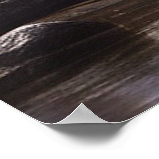 *~* Natuur STREAM AP49 MOOSE Forest Poster (Hoek)