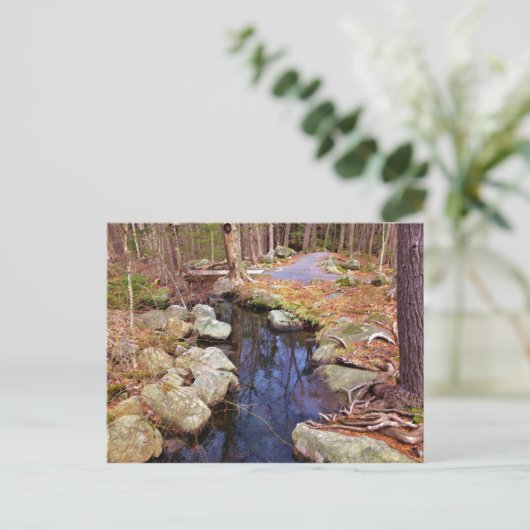Natuur Stream Briefkaart (Staand voorkant)