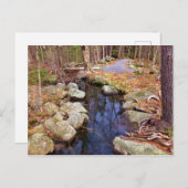 Natuur Stream Briefkaart (Voorkant / Achterkant)