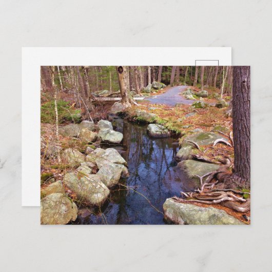 Natuur Stream Briefkaart (Voorkant / Achterkant)